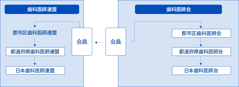 会員と歯科医師連盟・歯科医師会とのつながり